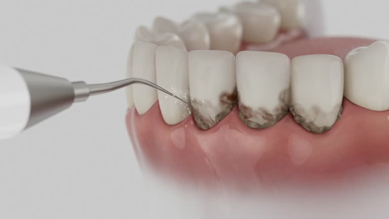 Reliable Dental contractor in Fairfax, SC by Dentist Open Now